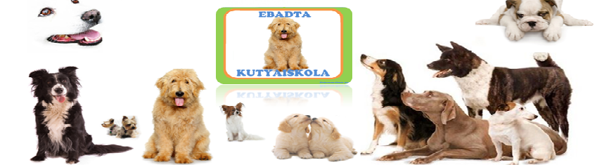 Ebadta Kutyaiskola